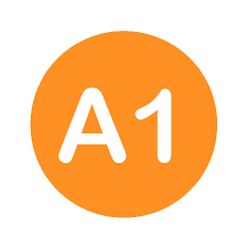 A1